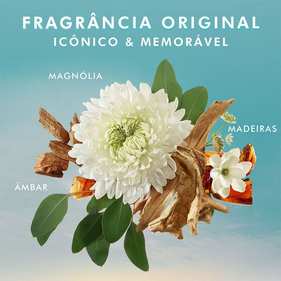 BODY MOROCCANOIL GEL DE BANHO 250 ml